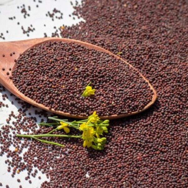 Mustard Seeds