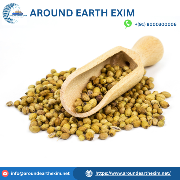 Coriander Seeds