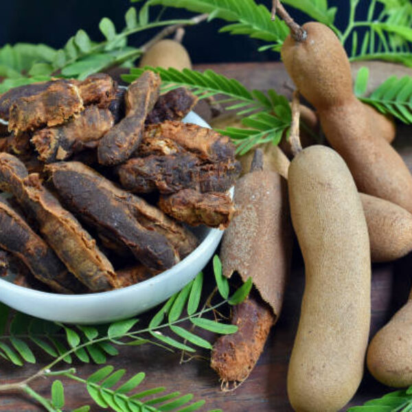 Tamarind paste or juice in white bowl on the wooden table and beside the ripe tamarind and tamarind leaves scattered with black background