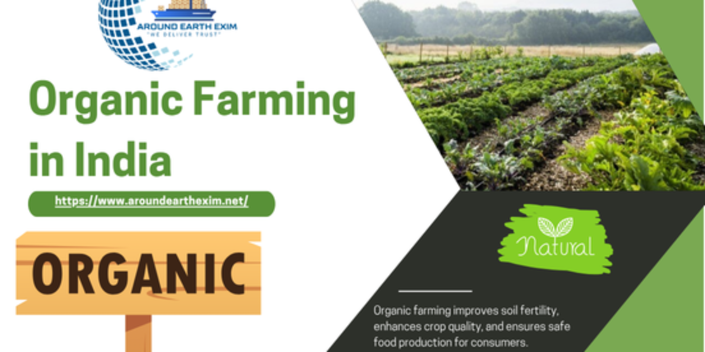 Green and White Geometric Nature Photo Tree Planting News Instagram Post