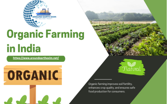 Green and White Geometric Nature Photo Tree Planting News Instagram Post