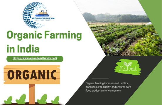 Green and White Geometric Nature Photo Tree Planting News Instagram Post