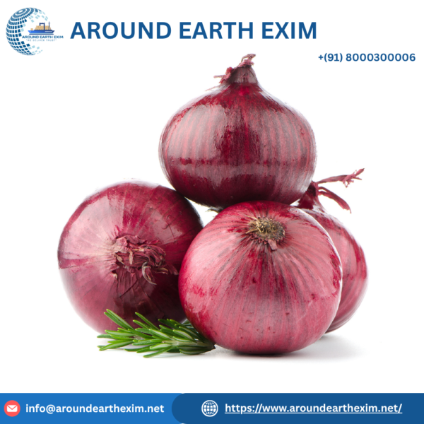 Onion