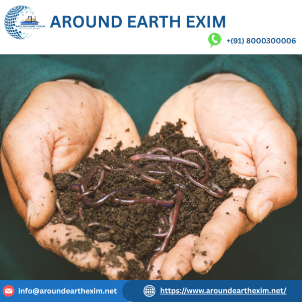 Organic Vermicompost Fertilizer