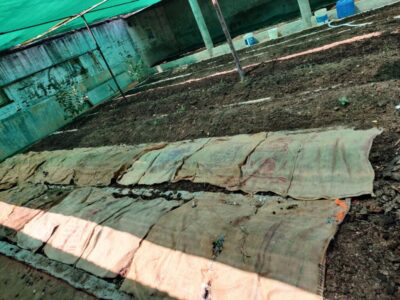 WhatsApp Image 2026-03-05 at 1.53.49 AM (2)