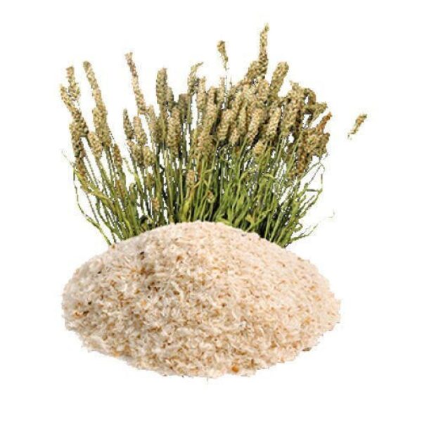 Isabgol(Psyllium-husk)